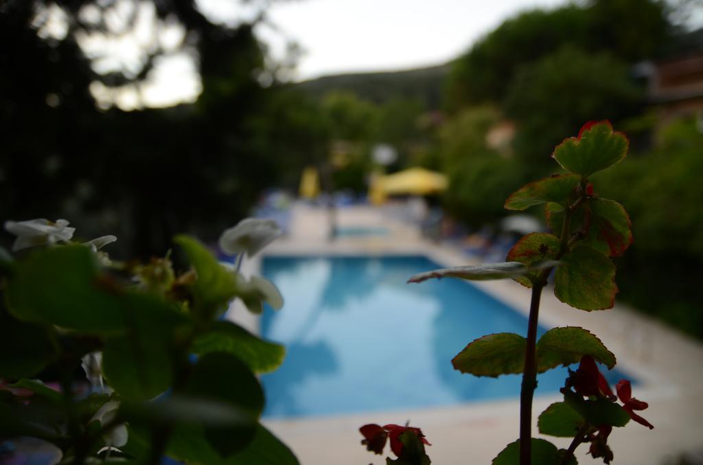 Atamer Doga Resort Gemlik Dış mekan fotoğraf