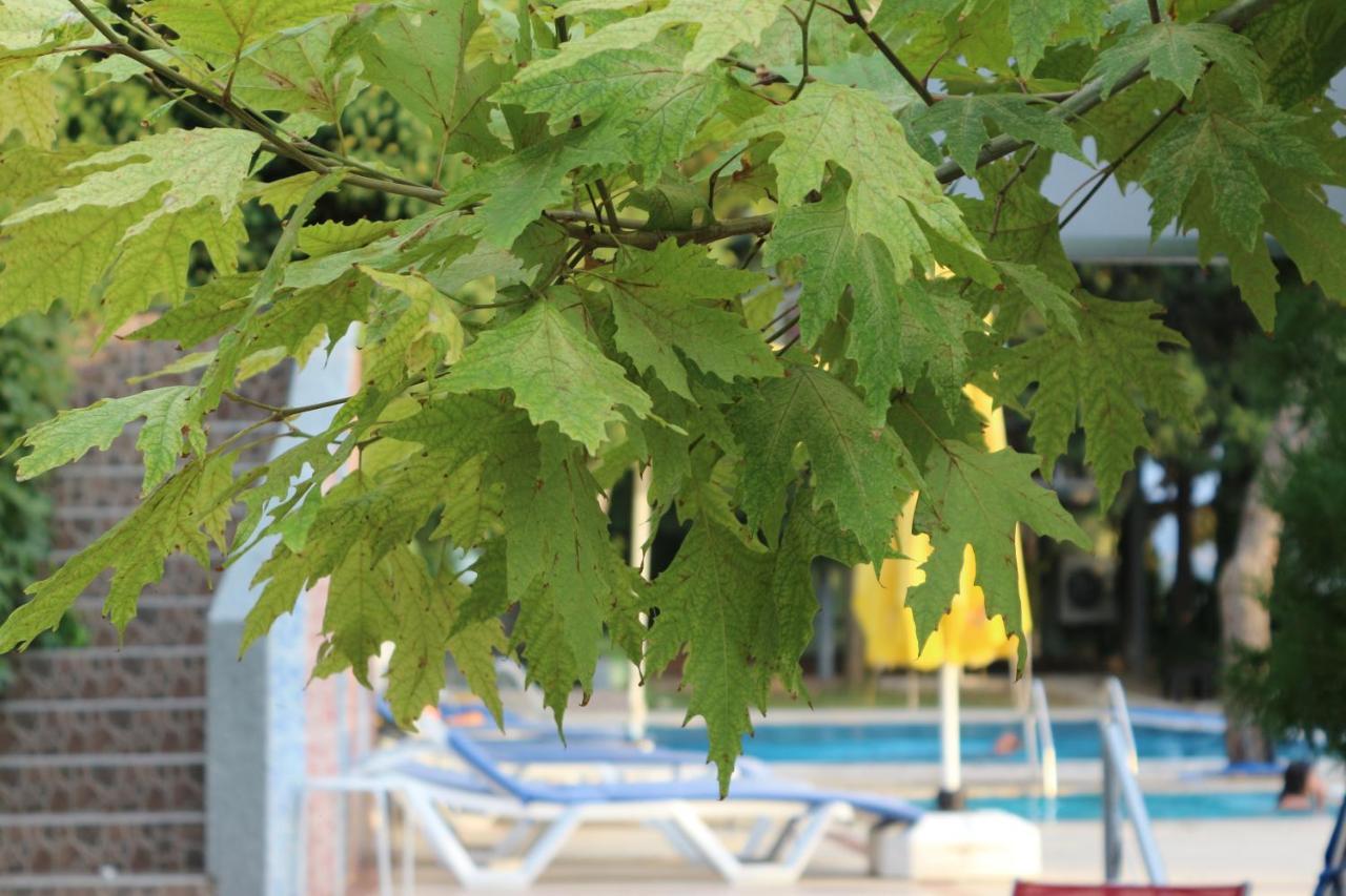 Atamer Doga Resort Gemlik Dış mekan fotoğraf